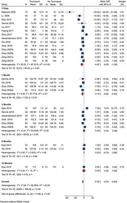 Association of Use of Tourniquets During Total Knee Arthroplasty in the Elderly Patients With Post-operative Pain and Return to Function